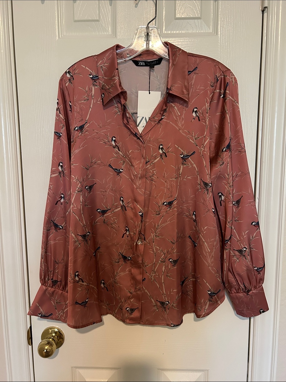 Zara Rose-Brown Bird Print Button-Down Shirt